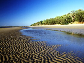 Kinkuna Section - Surfers Gold Coast 0