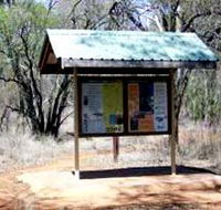 Tregole National Park - Surfers Gold Coast