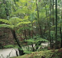 Fraser Island Great Walk - Surfers Gold Coast