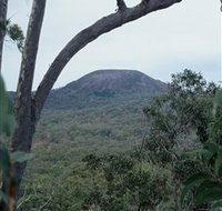 Mount Fox - Surfers Gold Coast