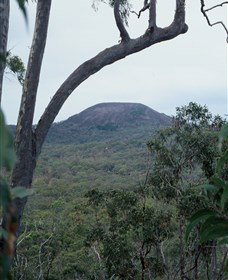 Mount Fox - Surfers Gold Coast 0