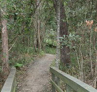 Springwood Conservation Park - Surfers Gold Coast
