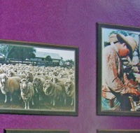 Charleville Photographic Display - Surfers Gold Coast