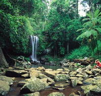 Tamborine National Park - Surfers Gold Coast