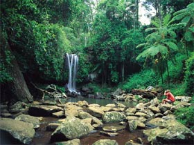 Tamborine National Park - Surfers Gold Coast 0
