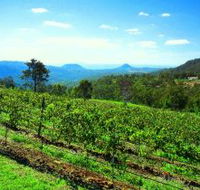 Preston Peak Wines - Surfers Gold Coast