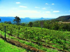 Preston Peak Wines - Surfers Gold Coast 0