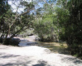 Davies Creek National Park And Dinden National Park - Surfers Gold Coast 0