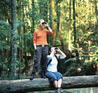 Birdwatching on the Fraser Coast - Surfers Gold Coast