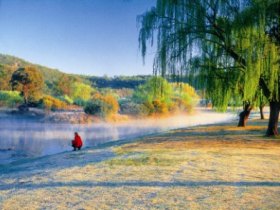 Quart Pot Creek - Surfers Gold Coast 0
