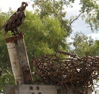 Blackall Sculpture Trail - Surfers Gold Coast
