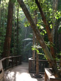 Basin Lake Track - Surfers Gold Coast 0