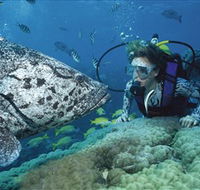 Pelorus Island - Surfers Gold Coast