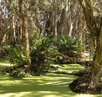 Arkarra Lagoons and Tea Gardens - Surfers Gold Coast
