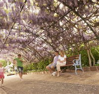 Laurel Bank Park - Surfers Gold Coast