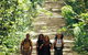 Wet Tropics Great Walk - thumb 0