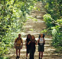 Wet Tropics Great Walk - Surfers Gold Coast