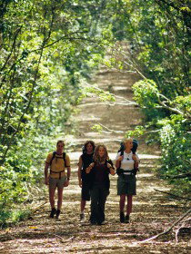 Wet Tropics Great Walk - Surfers Gold Coast 0