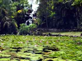 Queens Park Waterfall - Surfers Gold Coast 0