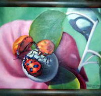 Kingaroy Shire Art Gallery - Surfers Gold Coast