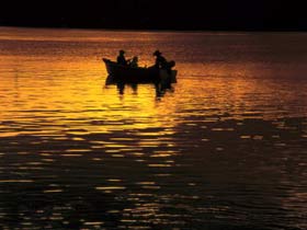 Pinnacle QLD Surfers Gold Coast