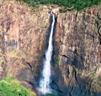 Buujan Quiinbiira Walk Wet Tropics Great Walk - Surfers Gold Coast