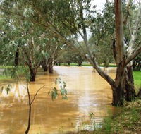 Saddliers Waterhole and Hamburg Creek - Surfers Gold Coast