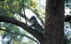 Daisy Hill Conservation Park - thumb 0