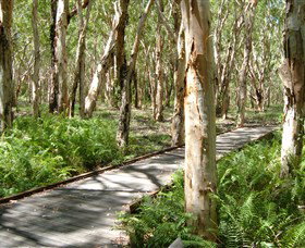 Mackay QLD Surfers Gold Coast