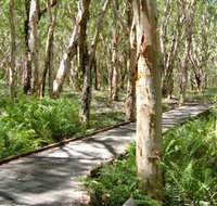 The Kommo Toera Trail - Surfers Gold Coast