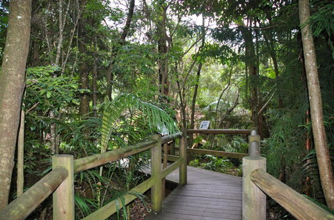 Cedar Creek Estate - Surfers Gold Coast 1