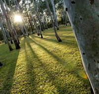 Tondoon Botanic Gardens - Surfers Gold Coast
