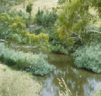 Yarrambat Park - Surfers Gold Coast