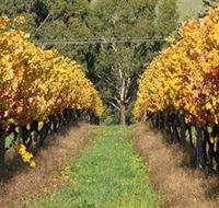 Wild Dog Winery  Restaurant - Surfers Gold Coast