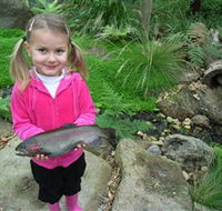 Wild Food Farm  Cafe - Surfers Gold Coast