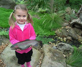 Wild Food Farm & Cafe - Surfers Gold Coast 0