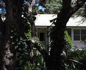 Anglesea VIC Surfers Gold Coast