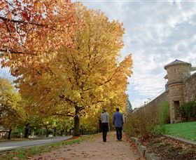 Indigo Gold Trail - Surfers Gold Coast 0