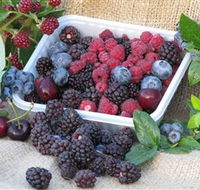 Bright Berry Farms - Surfers Gold Coast