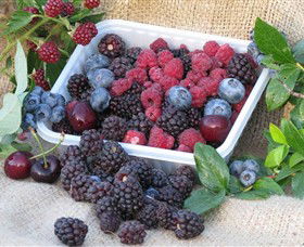 Bright Berry Farms - Surfers Gold Coast 0