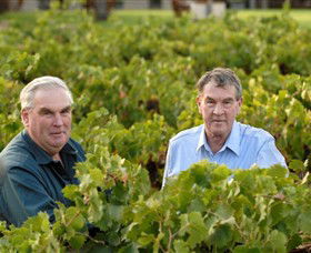 Campbells Wines - Surfers Gold Coast 0