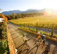 Boyntons Feathertop Winery - Surfers Gold Coast