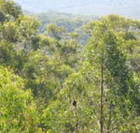 Bunyip State Park - Surfers Gold Coast