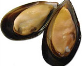 Sea Bounty - Surfers Gold Coast 0