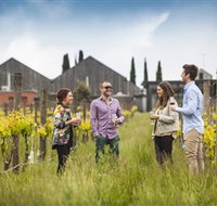 Willow Creek Vineyard - Surfers Gold Coast