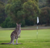 Anglesea Golf Club - Surfers Gold Coast