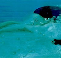 Muse - Surfers Gold Coast