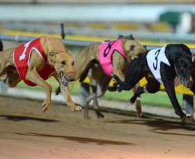 The Beckley Centre - Surfers Gold Coast 0
