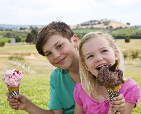 Yarra Valley Chocolaterie & Ice Creamery - Surfers Gold Coast 6