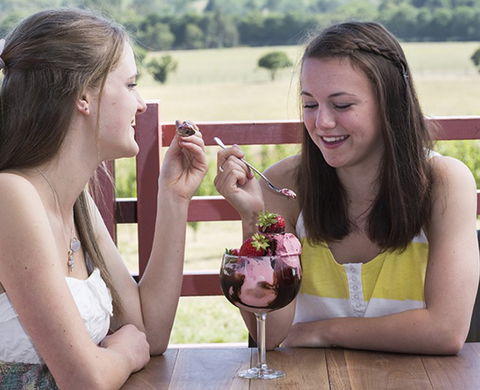 Yarra Valley Chocolaterie & Ice Creamery - Surfers Gold Coast 8